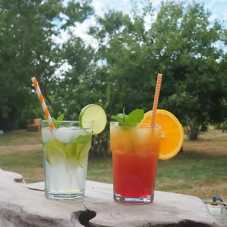 Pays De Joie - Gite-loft Le Piano