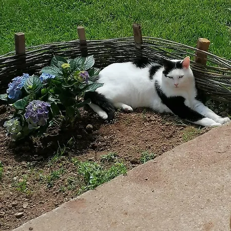 Pays De Joie - Gite-loft Le Piano *