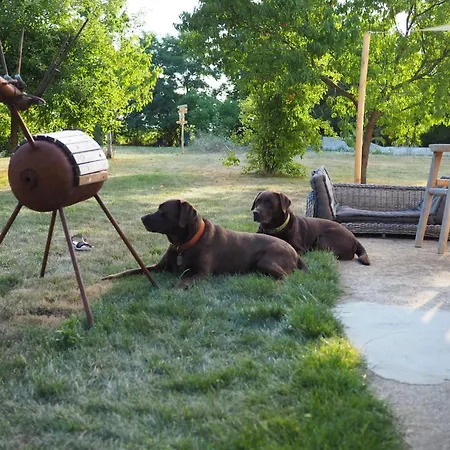 Pays De Joie - Gite-loft Le Piano